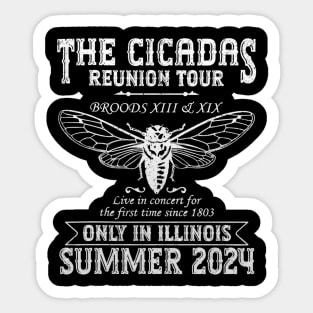 Cicada Concert Tour 2024 Illinois Cicada Broods Sticker